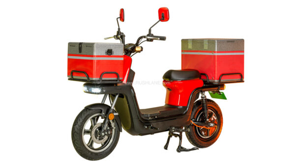 EVTRIC Electric Scooter For Delivery