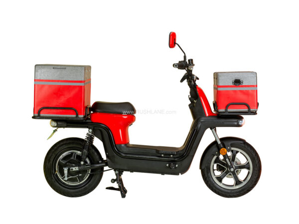 EVTRIC Electric Scooter Imported From China